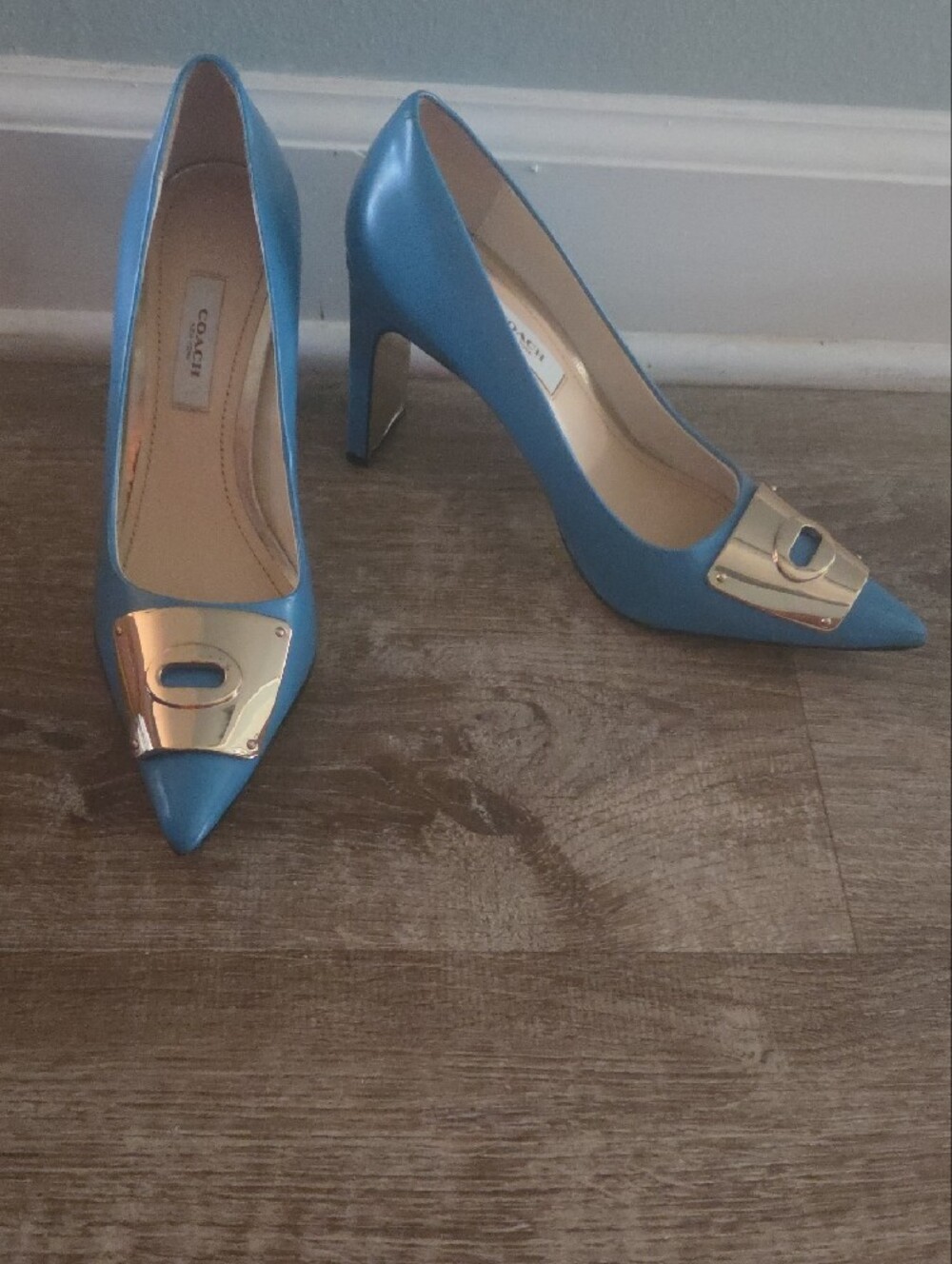 Coach Metallic-Plate Blue Pointed Toe Pumps - Picture 4 of 4